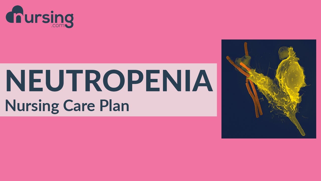 Nursing Care Plan for Neutropenia (Nursing Care Plan Tutorial) 