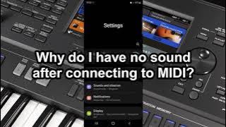 ORG, Why do I have no sound after connecting to MIDI?