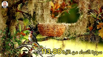 سورة النساء من الآية 88-113