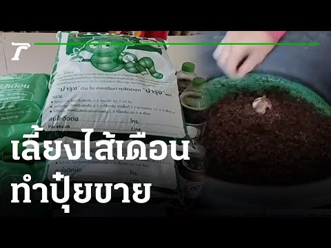 เกษตรทำเงิน : ชาวบ้านรวมกลุ่มเลี้ยงไส้เดือนทำปุ๋ยขาย | 22-01-66 | ตะลอนข่าวสุดสัปดาห์