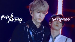 nct park jisung - senpai