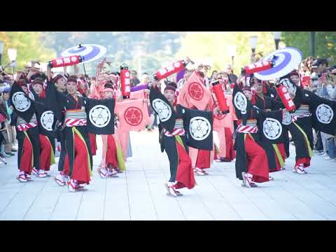 濱長　花神楽　第16回ドリーム夜さ来い　丸の内会場　2017年11月5日