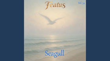 Seagull Part 6