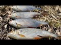 Рыбалка на БОКОВОЙ КИВОК | Ловля рыбы в нерестовый запрет | Весна Апрель 2021