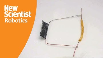 4D-printed robot self-assembles into a tube and rolls up hills