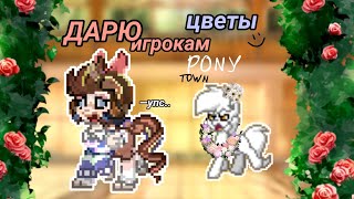 _🥂ДАРЮ ИГРОКАМ В PONY TOWN ЦВЕТОЧКИ_🥀 #ponytown  #betteeberg