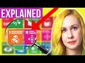 Un sustainable development goals 2030 17 sdgs explained for biz