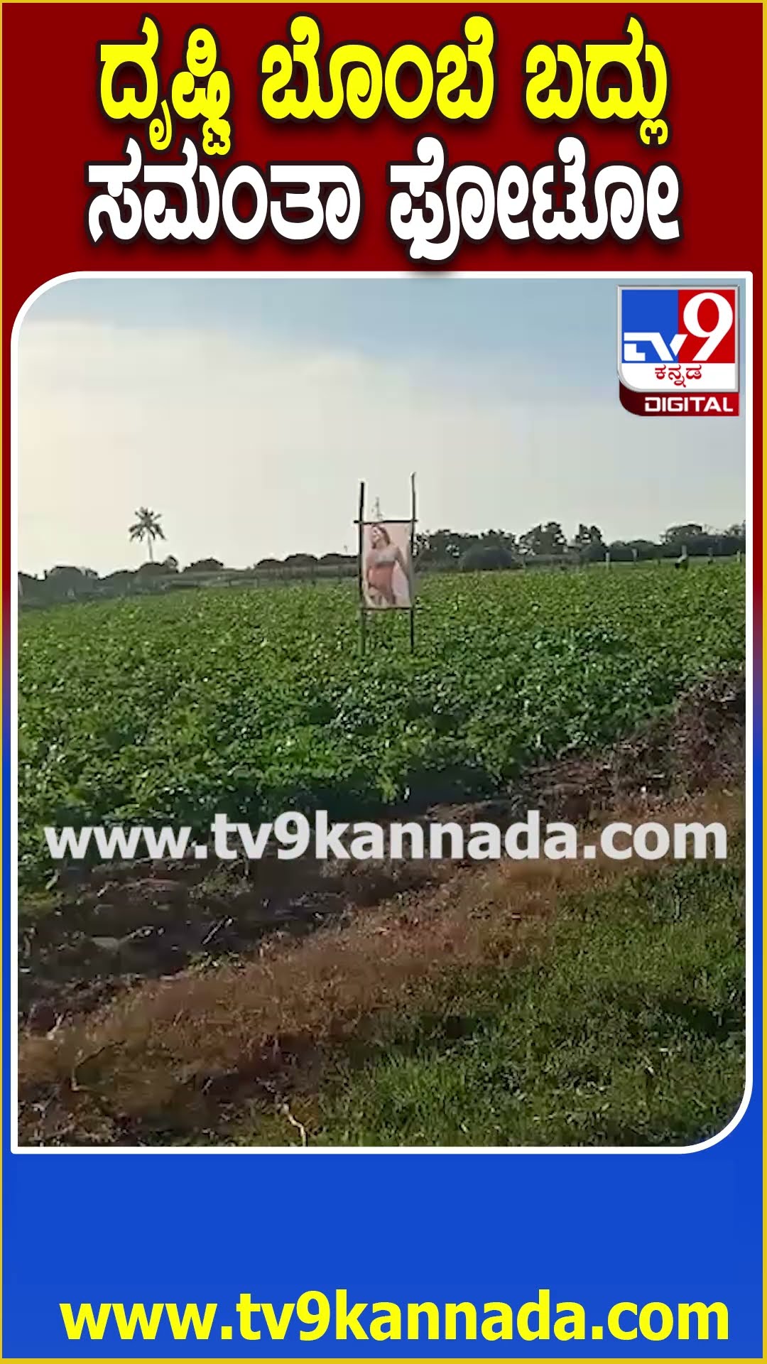 ದೃಷ್ಟಿ ಬೊಂಬೆ ಬದ್ಲು ಸಮಂತಾ ಫೋಟೋ #Samantha #Tv9D