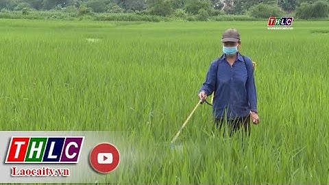 Nâng cao nhận thức về kinh doanh, sử dụng thuốc bảo vệ thực vật | THLC