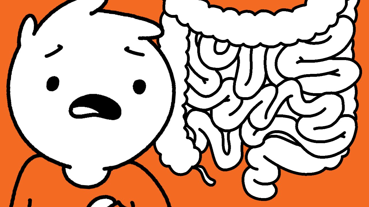 10 Things About the Human Body You Probably Don't Know