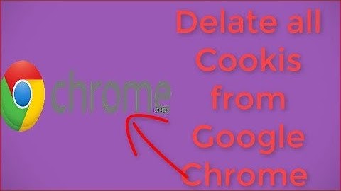 How to Delete all Cookies From One Website Only in Chrome browser