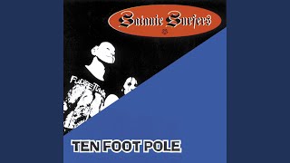 Watch Ten Foot Pole Your Perfect World video