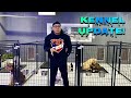 Our dog kennel setup  functional layout and build