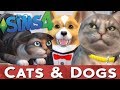 The Sims 4 CATS &amp; DOGS Expansion Pack Trailer - THOUGHTS &amp; DISCUSSION