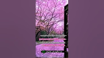 تلاوة هادئة تريح النفس  💚أيات قصيرة من القرآن 💚بصوت جميل جداً 💚أجمل تلاوة تريح القلب والعقل 🎧💗