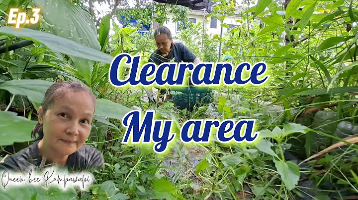 Ep.3 Clearance My area สะสางวัชพืชเตรียมปรับปรุงสวนใหม่