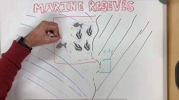 Marine Reserves and Marine Protected Areas