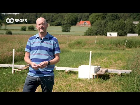 Video: Sådan Bestemmes Udledningen