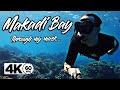 Schnorcheln in gypten  makadi bay  gopro 4k 60fps