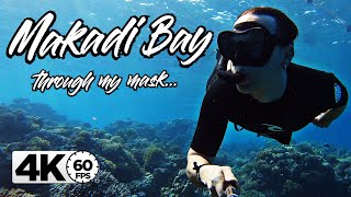 Snorkeling in Egypt / Makadi Bay | GoPro 4K 60FPS