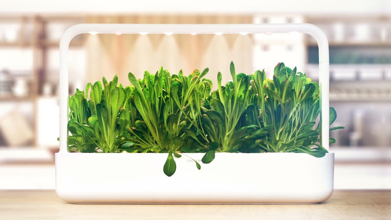 Click And Grow Smart Garden
