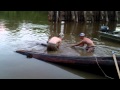 Pulling logs out of the river Pulling logs out of the river