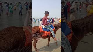 কযকট কন এত সনদর Khulna Post খলন পষট Quakata Kuakata