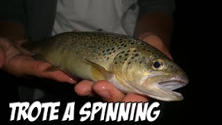 Pesca Spinning Trota Lago