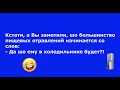 Забежавший на территорию больницы бультерьер... Выпуск 57