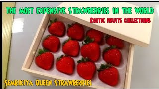 Straw berry: The Sembikiya Queen Strawberries.