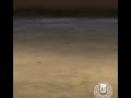 حالة واتس أغنية La Calin 
