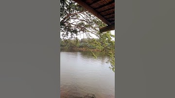 Thumbnail of River of Babylon