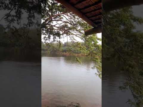 River Of Babylon River Of Babylon