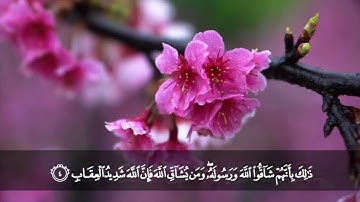 تلاوة من سورة الحشر من المصحف المرتل بصوت الشيخ د. محمد حسان