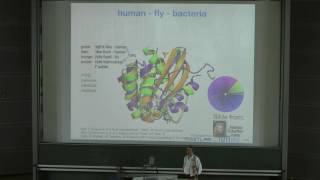 Protein Prediction 1 for Computer Scientists - Lecture 5, Experimental Structure Determination