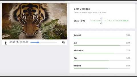GOOGLE CLOUD VIDEO INTELLIGENCE