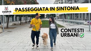 Come insegnare al cane a non tirare al guinzaglio | Tutorial con @naturalmentecani