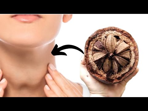 Video: Môžete jesť cédrové orechy?