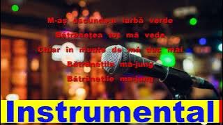 Ion Dolănescu   Să rămân tânăr cum sunt Karaoke Universal Ro