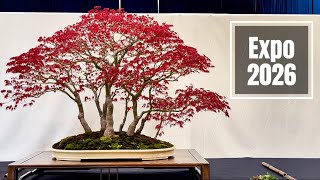 Expo bonsai show 2026