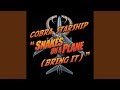 Miniature de la vidéo de la chanson Snakes On A Plane (Bring It) (The Juan Maclean Remix)