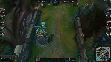 Fiora riposte bug patch 10.9