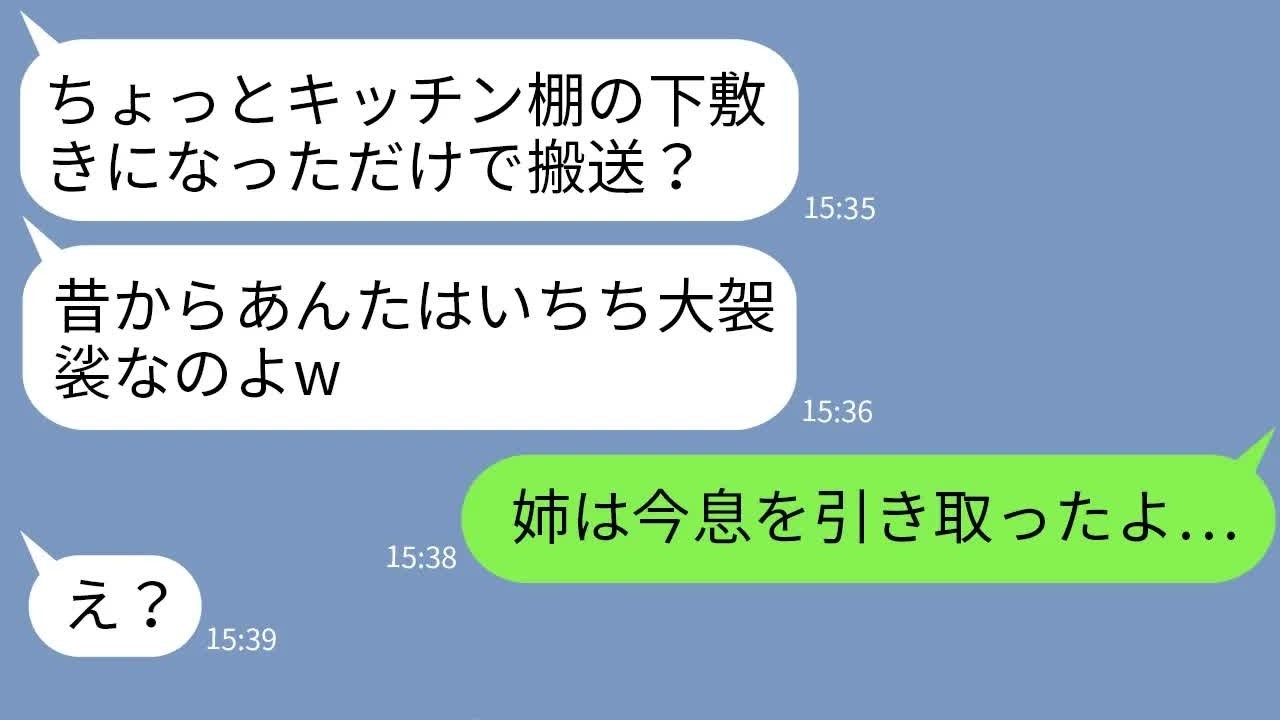 【LINE】妹だけ溺愛して姉の私を嫌いキッチン棚の下敷きにして緊急搬送させた母「大袈裟に騒ぐなw」→毒母に取り返しのつかない衝撃の事実を伝えた結果…