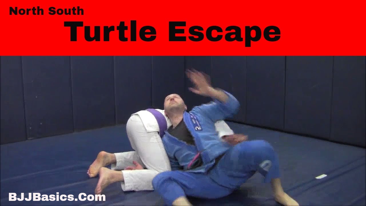 BJJ Basics: North South Turtle Escape - YouTube