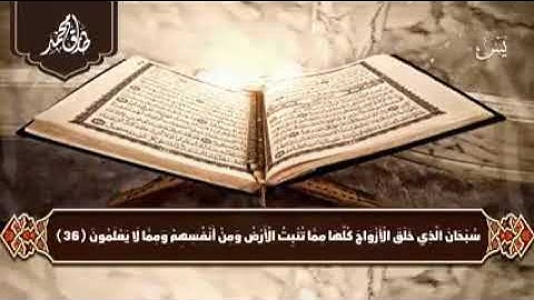 سورة يس بأجمل صوت @القارئ طارق محمد - Tareq Mohammad  @Holy Quran Repeated - القرآن الكريم مكرر
