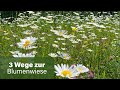 3 Wege zur Blumenwiese/ Wildbienen-Nisthilfen selber machen!