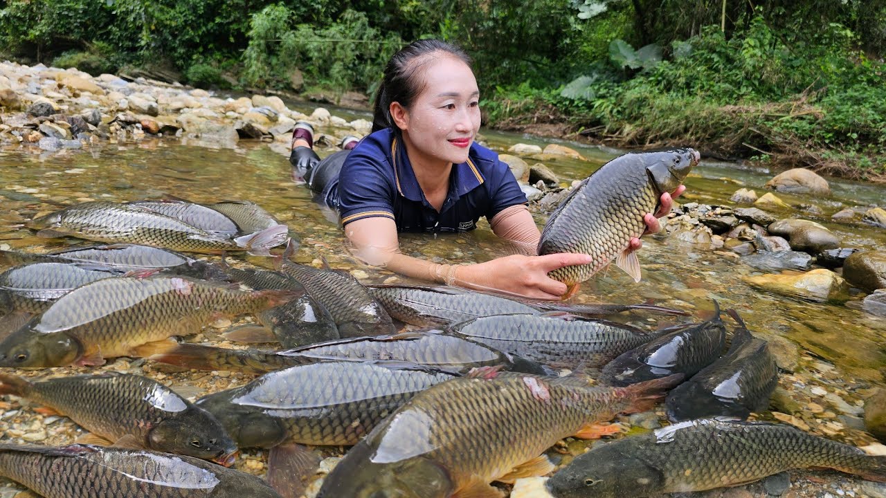 How to harvest giant carp for sale at the market, cooking (grilled carp) | Ly Thi Tam