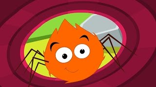 Incy Wincy Spider Nursery Rhyme Itsy Bitsy Spider Kids Song