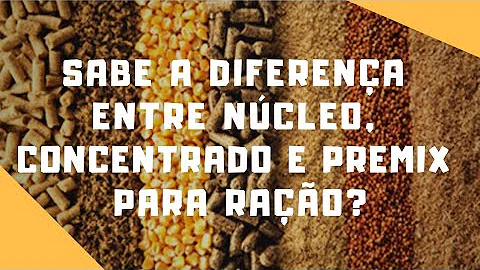 Quais devem ser os requisitos básicos de uma ração?
