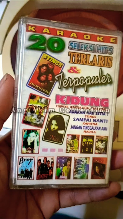 Adakah kau setia  (20 Seleksi Hits Terlaris & Terpopuler Karaoke Vol. 2 ) - Stings